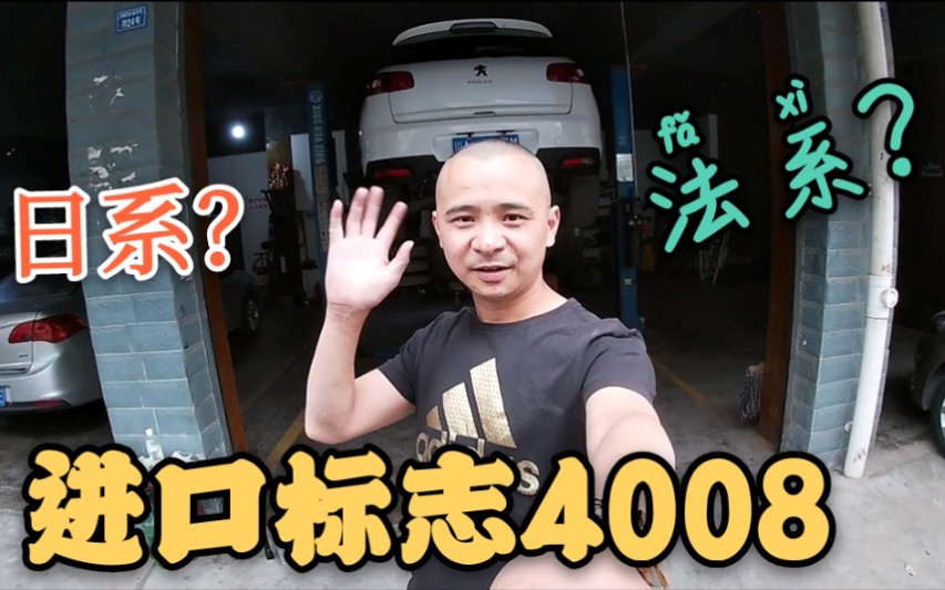 进口标志4008,到底是法系车还是日系车?哔哩哔哩bilibili