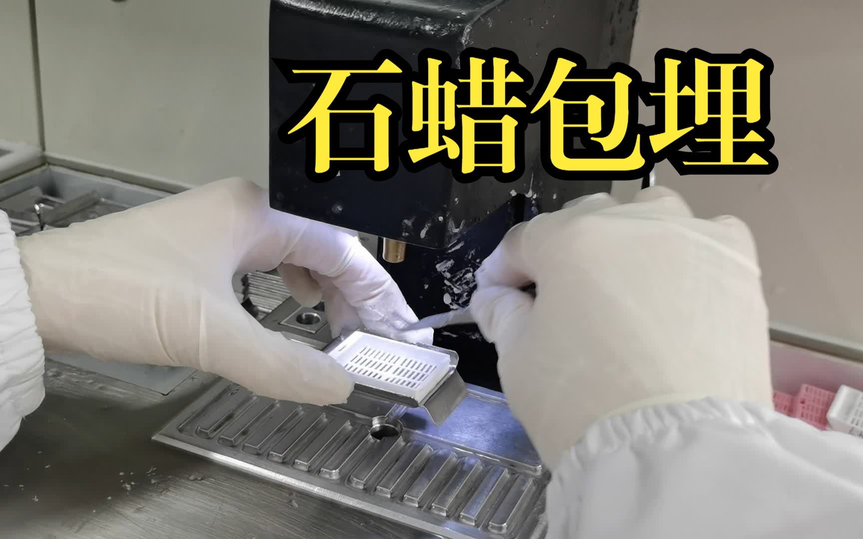 【石蜡包埋】实验操作详解+注意事项&组织切片制作 |病理实验哔哩哔哩bilibili