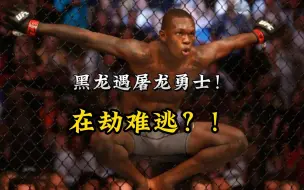 Download Video: UFC281，黑龙阿迪萨亚VS屠龙勇士佩雷拉，黑龙的克星来了！