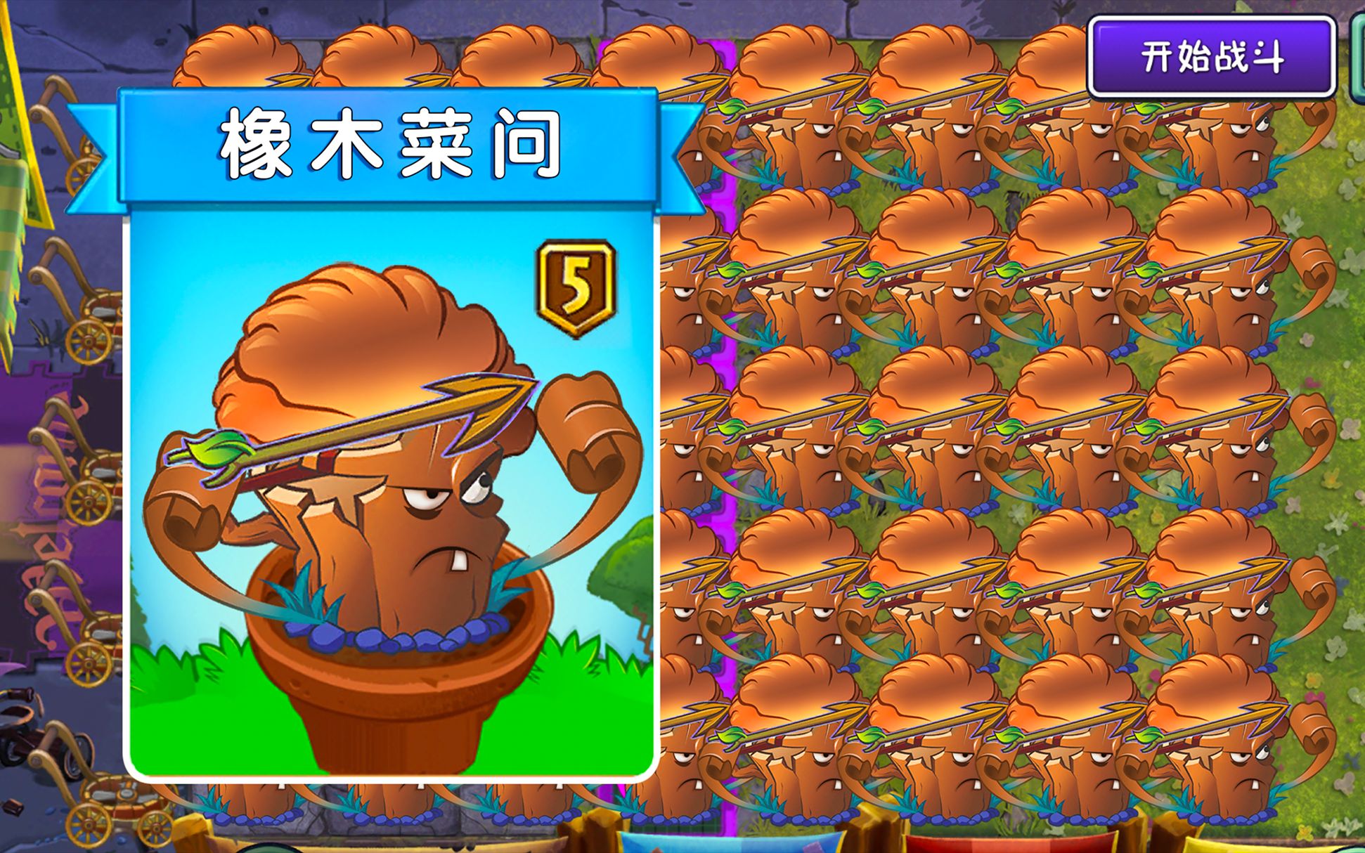 pvz2橡木弓手和菜問結合超z100穩贏