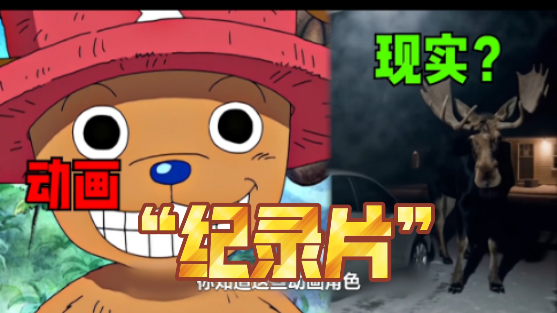 这就是“动画”和“现实”的区别吗？