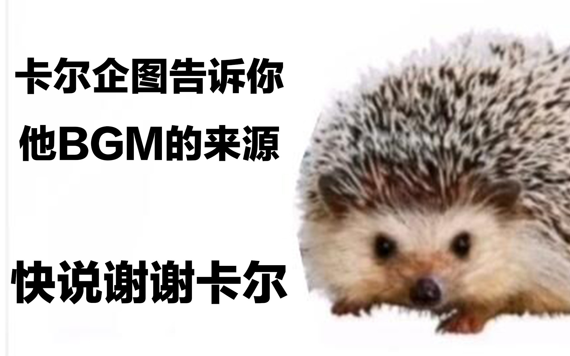 小刺猬卡尔bgm图片