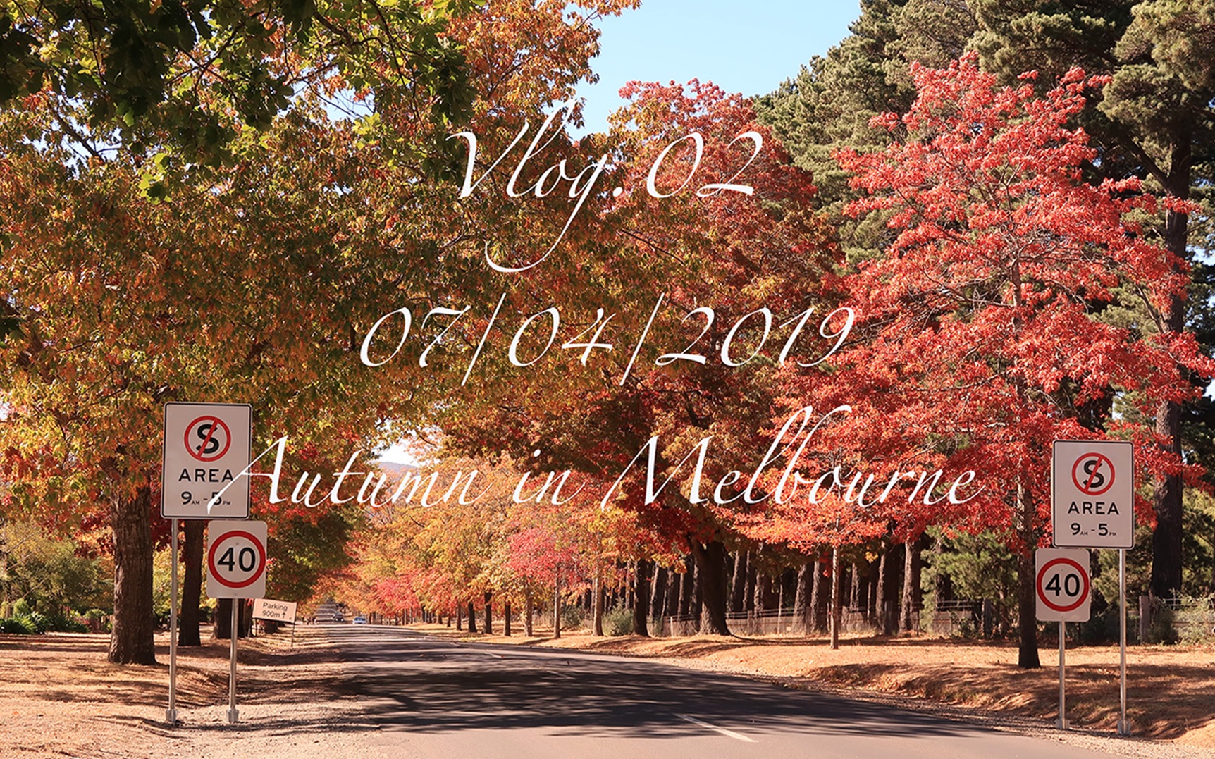 eternity and a day | 送你一个墨尔本秋天的四月vlog.