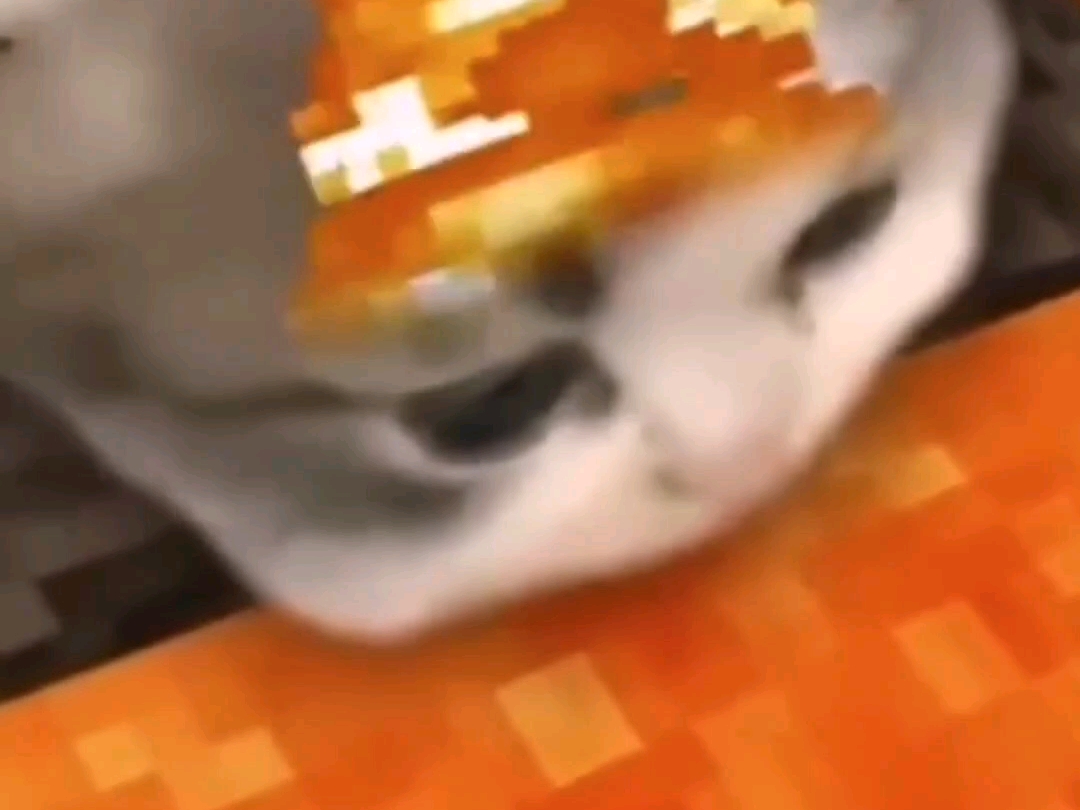 猫咪喝岩浆素材