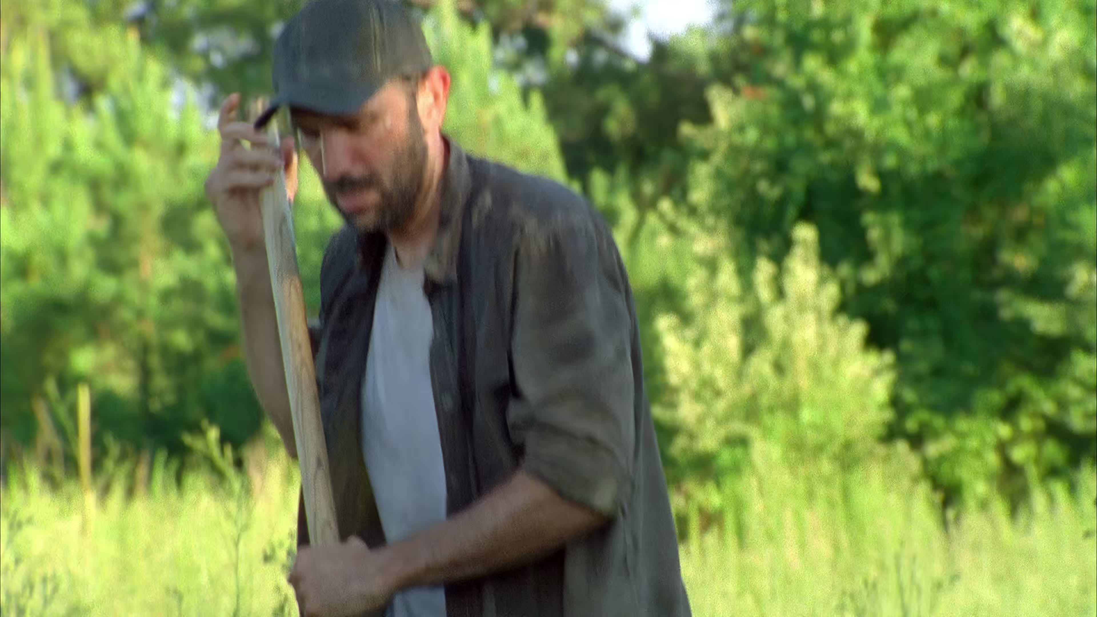 行尸走肉1-11季4k超清未删减网盘资源