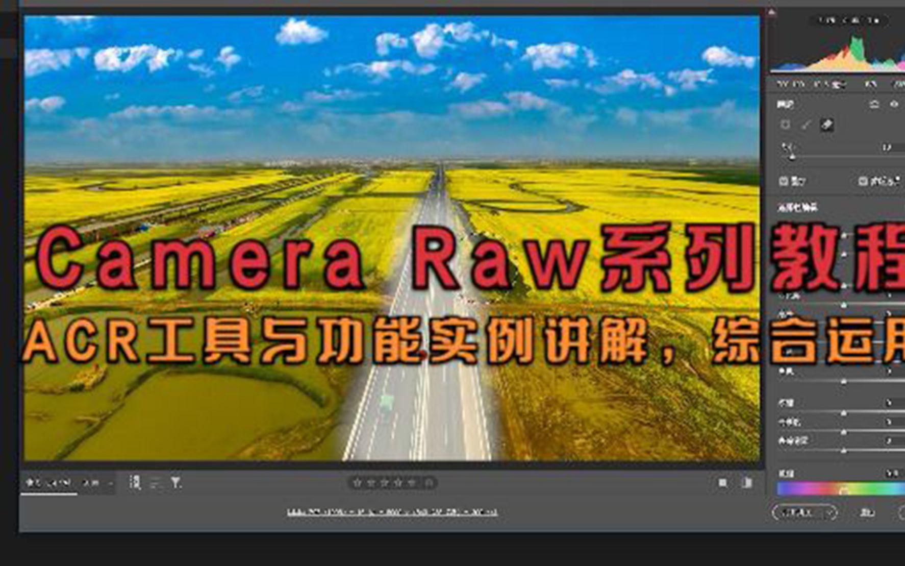 Camera Raw系列教程,ACR工具与功能实例讲解,综合运用哔哩哔哩bilibili