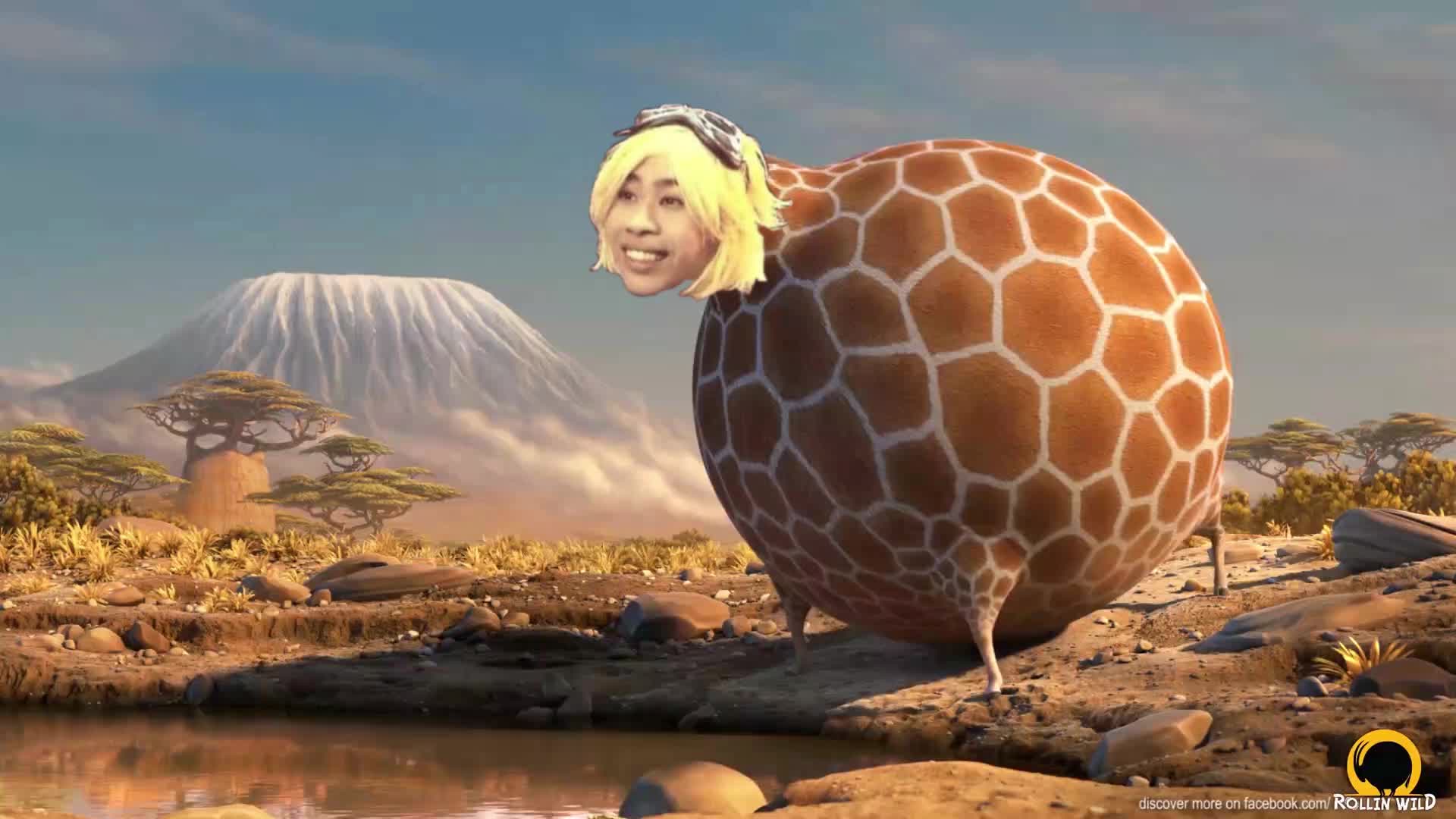 活动作品欢迎来到卢本伟的动物世界