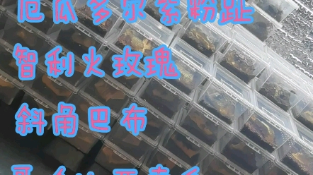 【异想天开爬室】秉承月月做福利的原则从11月份福利开始补,一共抽5位!详情见视频内容,完善规则待下一个视频,抽奖在本视频下抽五位.(更正:开...