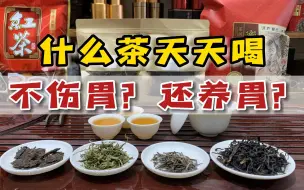 Video herunterladen: 什么茶天天喝，还不伤胃？冒着被同行谩骂的风险，讲出业内大实话