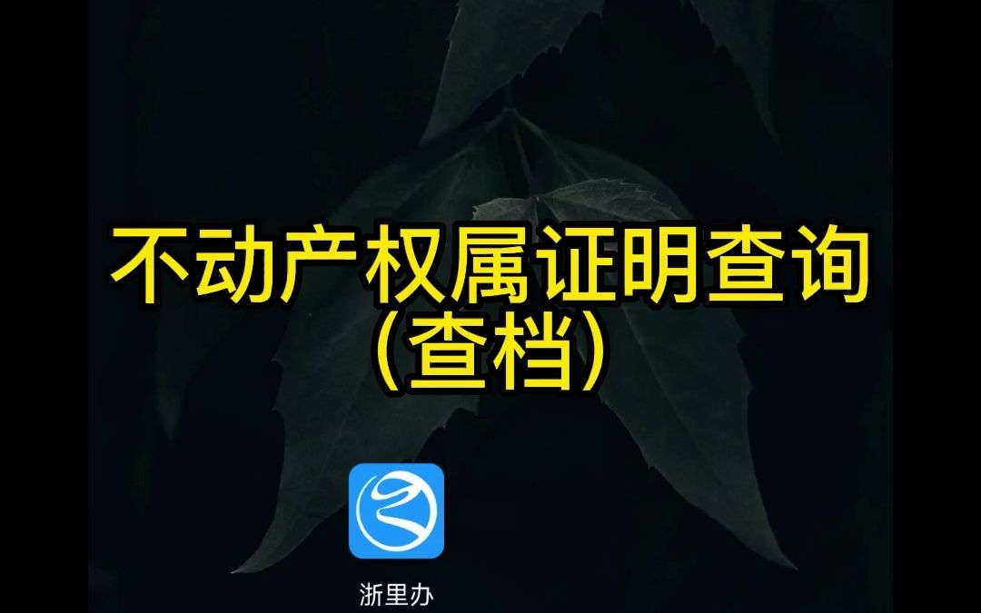 不动产权属证明查询哔哩哔哩bilibili