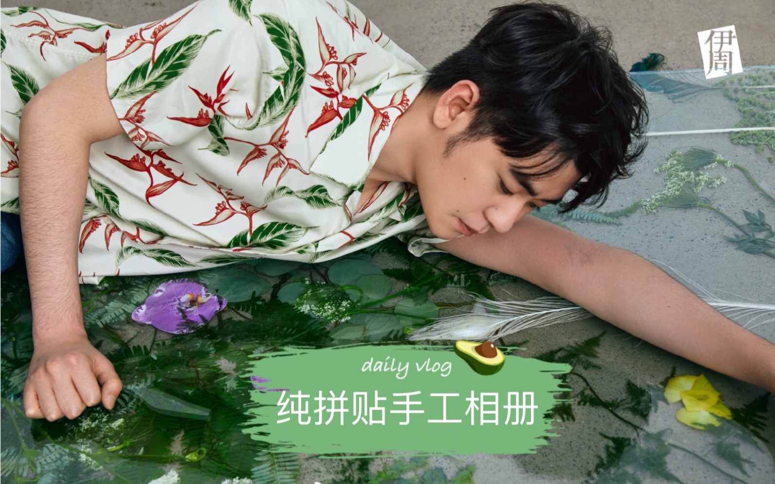 【手工相册】张云雷伊周杂志纯拼贴相册分享