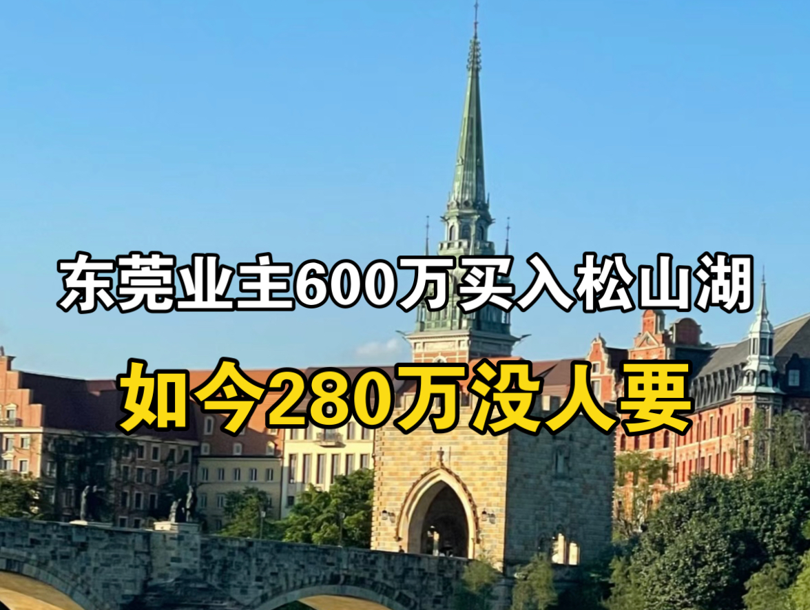 松山湖600万降到280万没人要,东莞业主打算断供,非常凄惨!哔哩哔哩bilibili