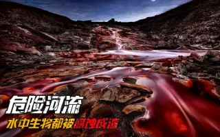 力拓河 搜索结果 哔哩哔哩 Bilibili