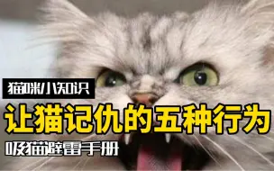 Video herunterladen: 会让猫咪记仇的五种行为，家人们赶紧避雷