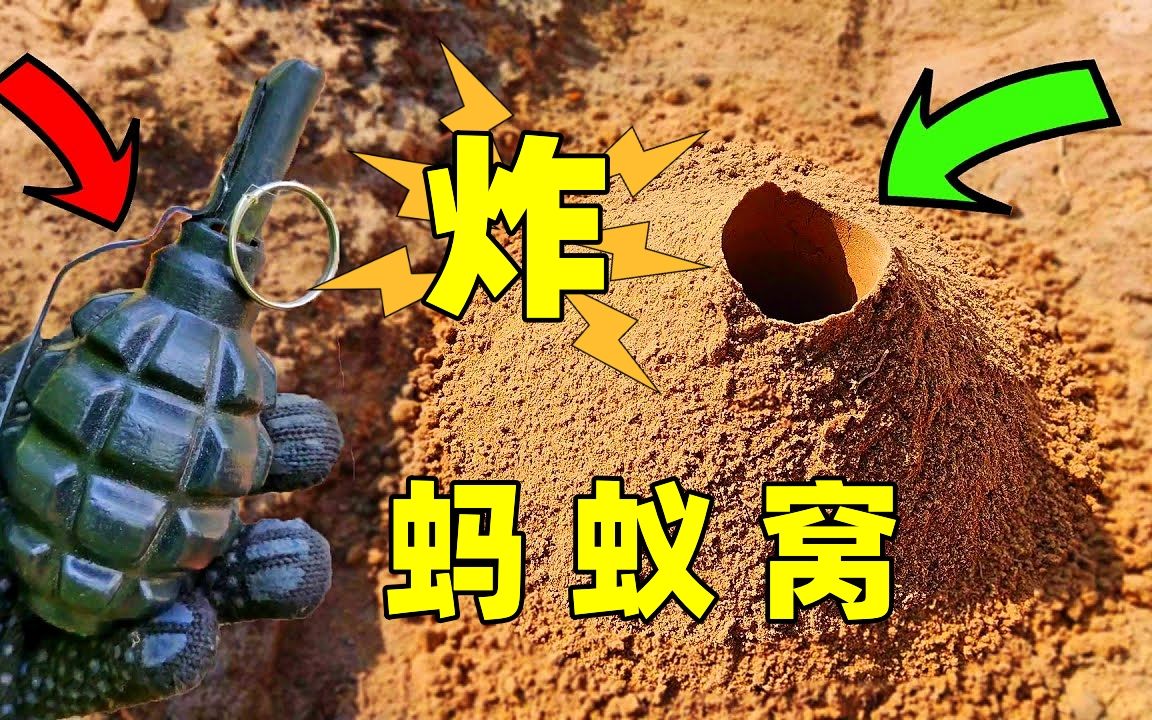魔鬼鞭炮炸蚂蚁窝,一只蚂蚁都走不出来