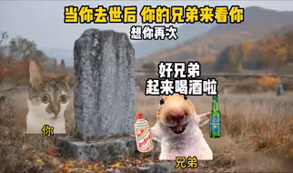 当你去世后你的兄弟来看你时