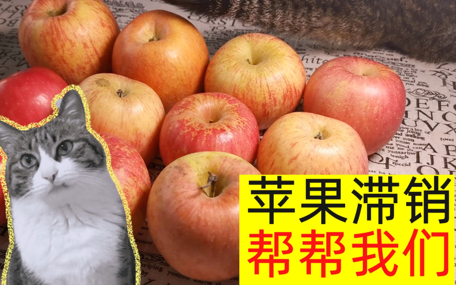 活动  苹果滞销,帮帮我们