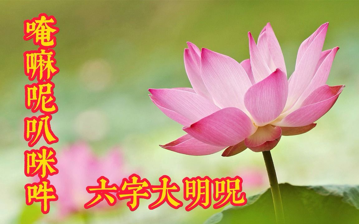 [图]六字五音《唵嘛呢叭咪吽》旋律优美，受益匪浅，静心化戾，好听极了！