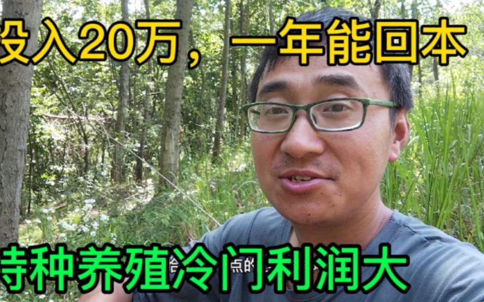 搞特种养殖竞争小利润大,投入20万一年能回本,有销路可以了解下哔哩哔哩bilibili