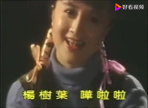 [图]怀旧电视金曲1992风雨丽人插曲摇摇晃晃就长大·金梦