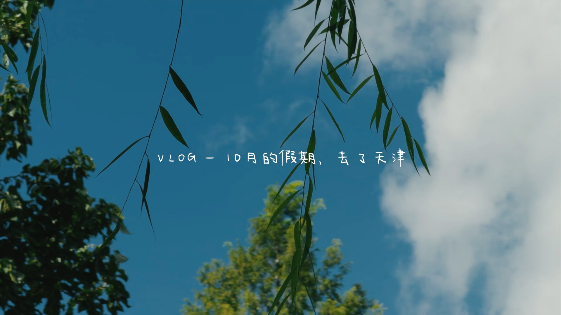 【霁云】10月Vlog  天津一日游哔哩哔哩bilibili