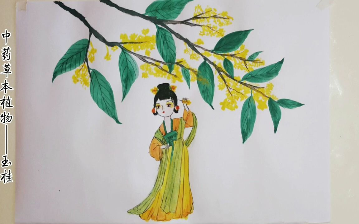 国风手绘,中药拟人——玉桂,绘画也要找到目标并进行下去
