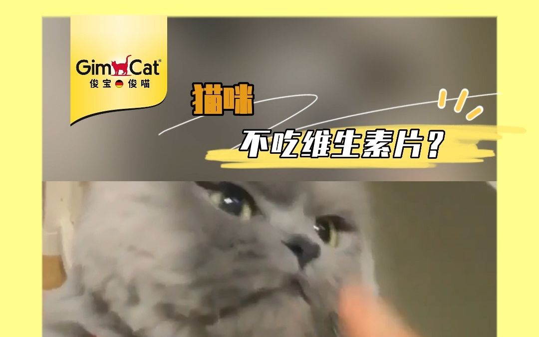 [图]Gimborn俊宝：猫咪维生素如何挑选？