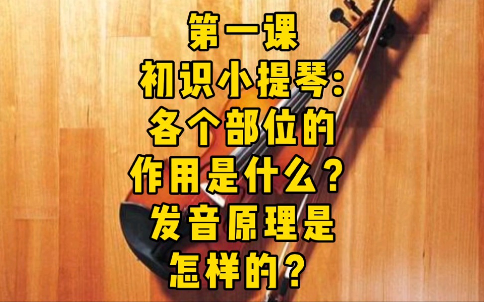 从零学琴第一课:小提琴的各个部位有啥作用?发音原理是什么?#小提琴教学 #小提琴#练琴哔哩哔哩bilibili