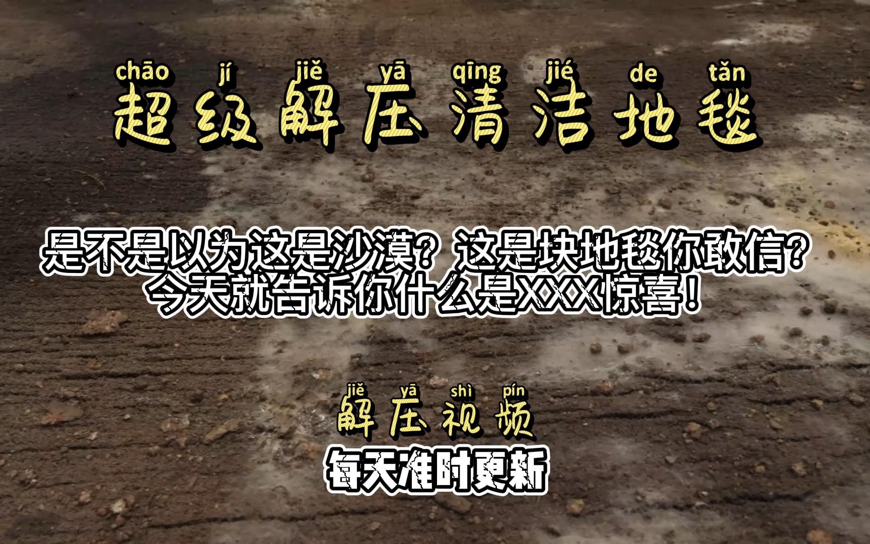 是不是以为这是沙漠?这是块地毯你敢信?这是我见过最好看的地毯哔哩哔哩bilibili