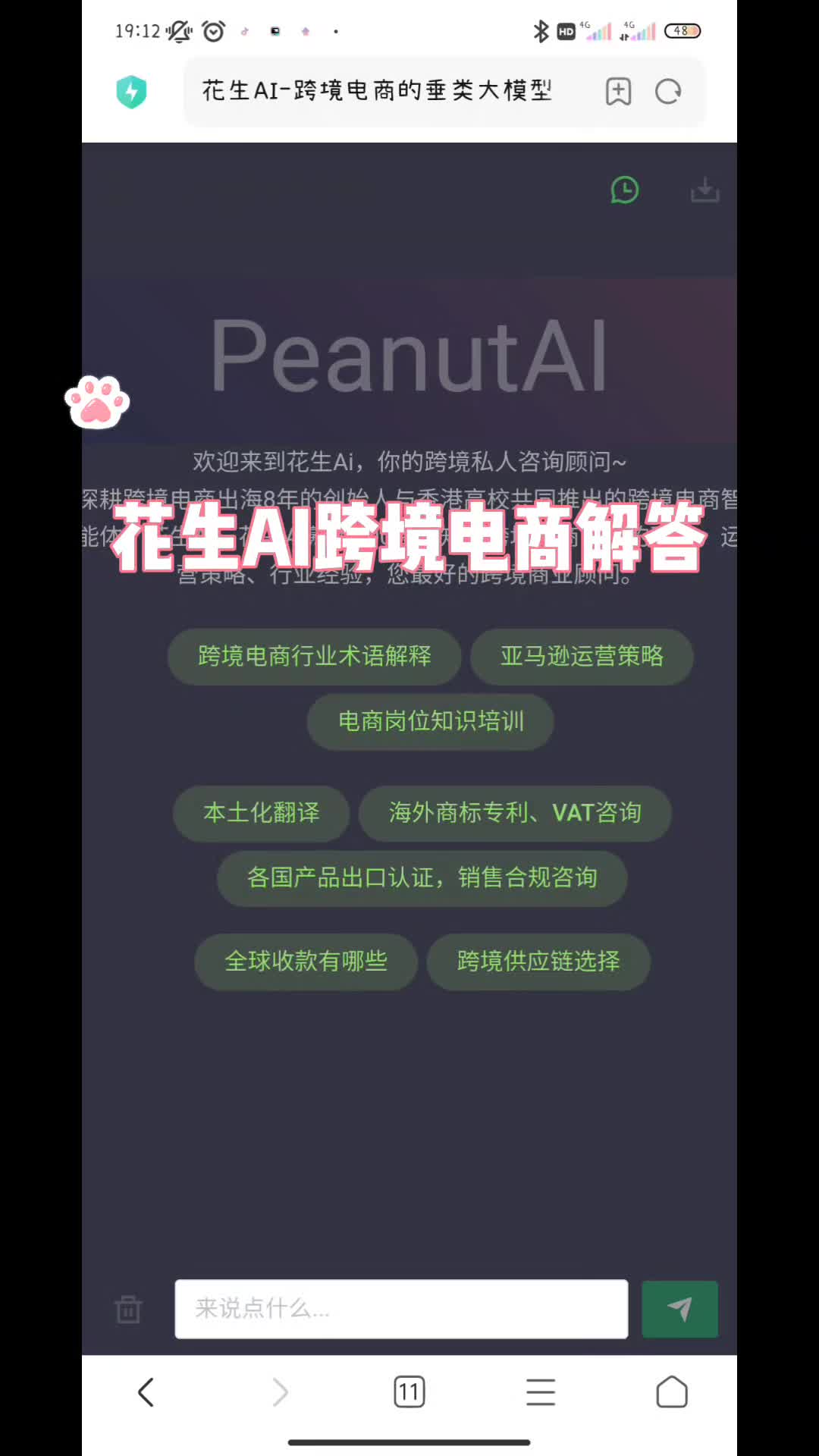 #花生AI 跨境电商AI问答哔哩哔哩bilibili