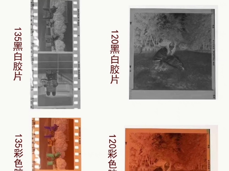 暗房显影液冲洗底片胶片