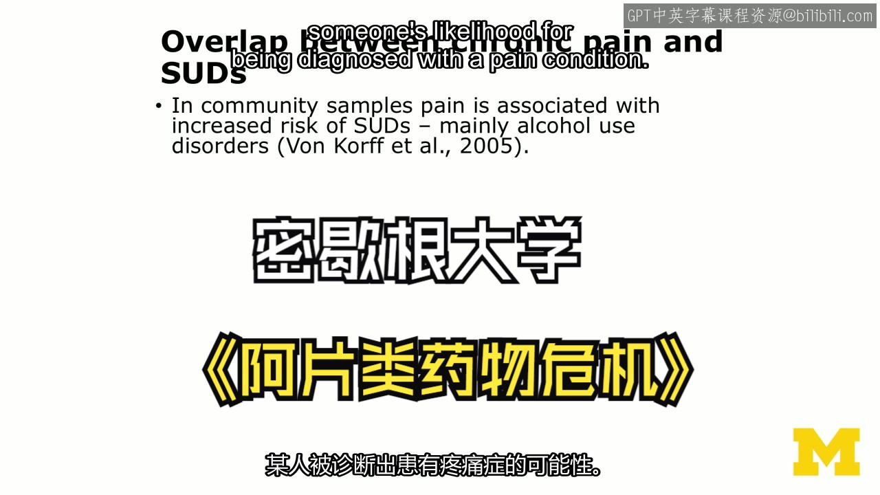 密歇根大学《影响阿片类药物危机:非处方提供者的预防、教育和实践Impacting the Opioid Crisis》中英字幕哔哩哔哩bilibili