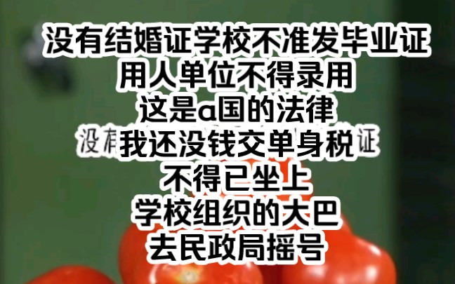 没有结婚证学校不准发毕业证,用人单位不得录用这是a国的法律,我还没钱交单身税,不得已坐上了学校组织的大巴去民政局摇号哔哩哔哩bilibili