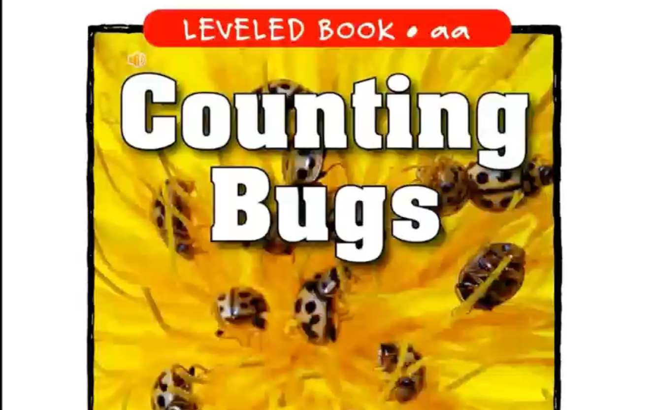 raz英语阅读-aa-counting bugs