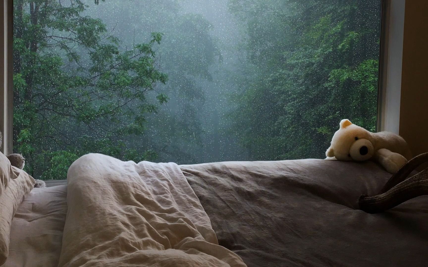 【白噪音】5小時丨坐在床上看窗外下雨丨雨點落在窗戶上的聲音