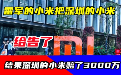 雷军的小米把深圳的小米给告了,结果深圳的小米赔了3000万哔哩哔哩bilibili