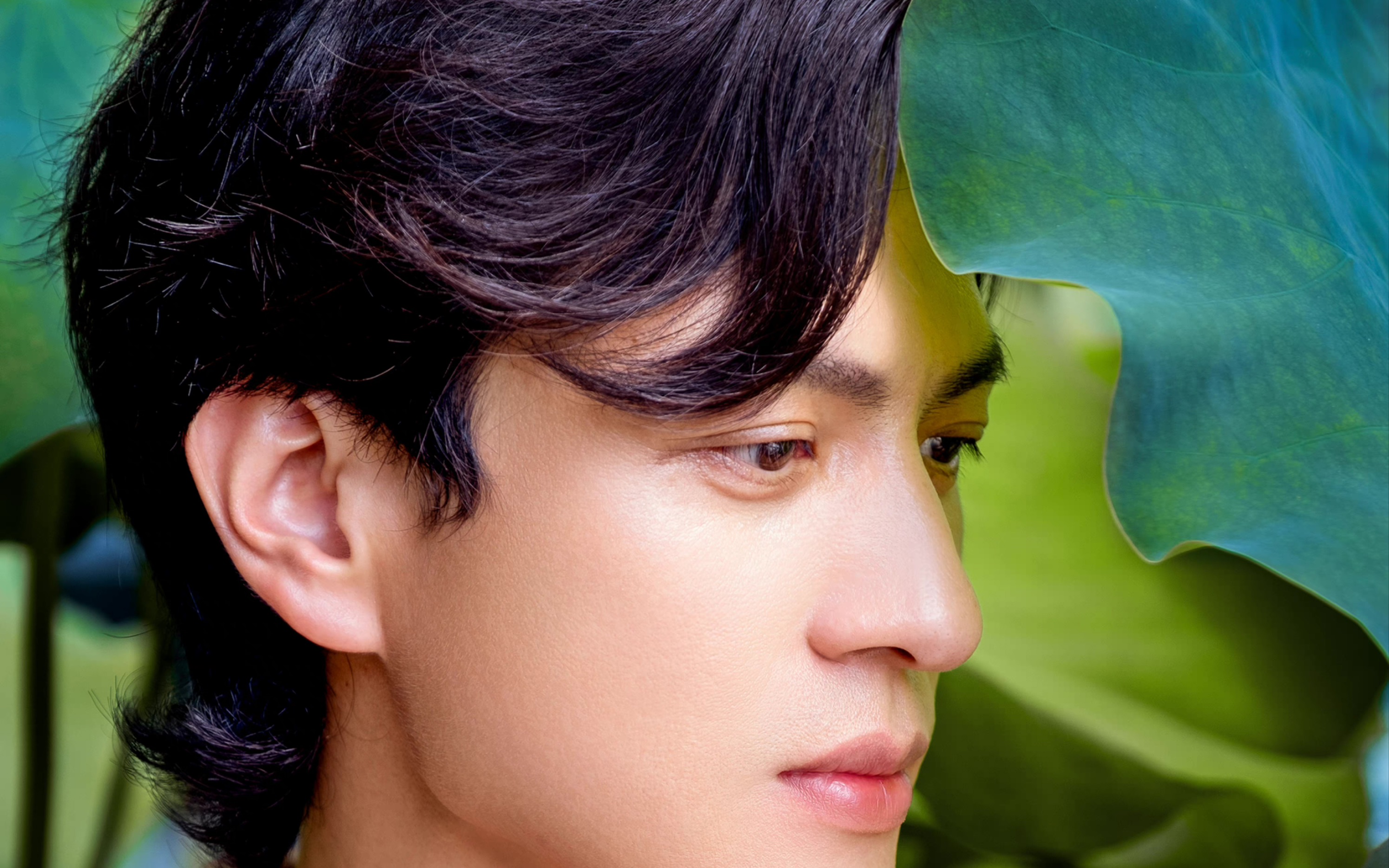 【明星安利】马敬涵