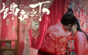 Video herunterladen: 「锦衣之下番外之 大婚之日」他们终于结婚了！