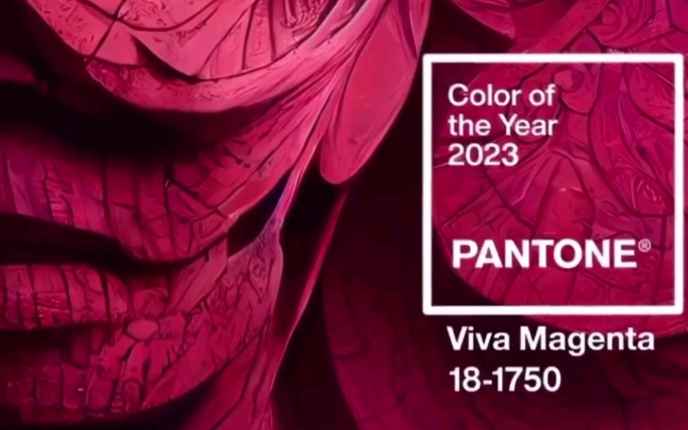 PANTONE 2023年度代表色正式发布!哔哩哔哩bilibili