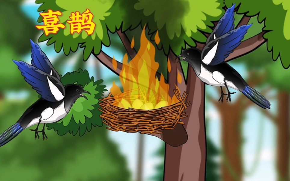 喜鹊搭窝,以后不要乱扔烟头了