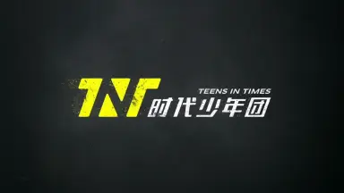 时代少年团 梦境之物 团体款 pb TNT时代少年团梦境之物官方pb小卡周边常规补偿宋亚轩刘耀文团体