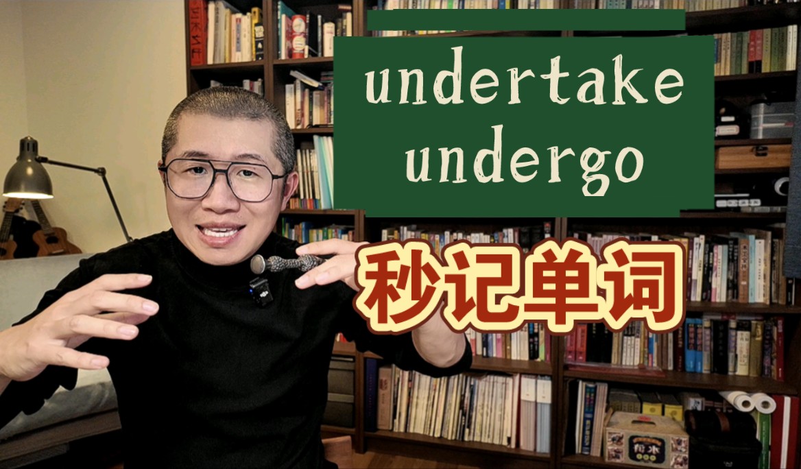 顿悟:undertake 和 undergo ~哔哩哔哩bilibili