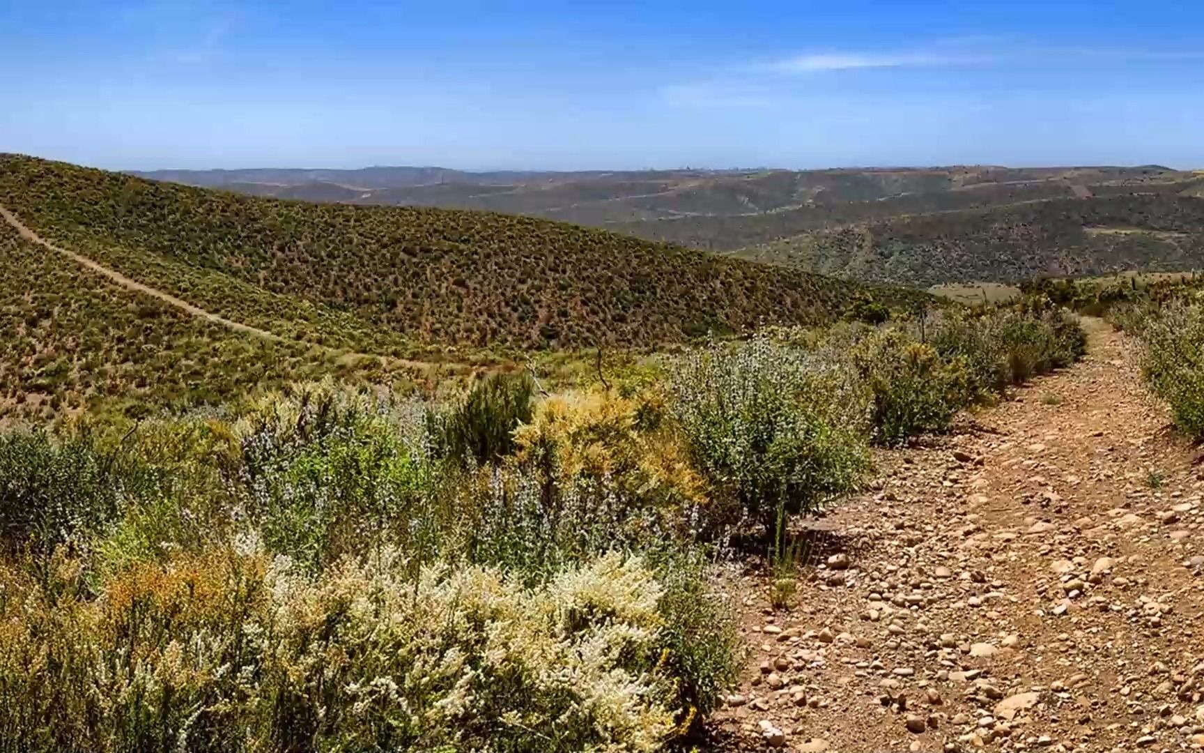九曜星君旰运躲星秘法