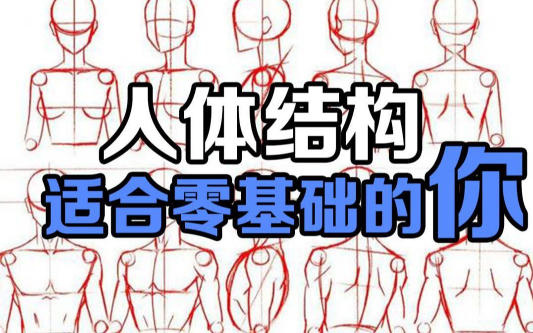 [图]【新人入坑必学】基础人体结构，萌新如何练习人体，(第二期)！！！