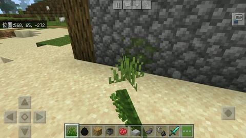 Minecraft特性 水下甘蔗 用甘蔗在水下呼吸 再也不怕探索海洋了 1 15 2 哔哩哔哩 つロ干杯 Bilibili Minecraft特性 水下甘蔗 用甘蔗在水下呼吸 再也不怕探索海洋了 1 15 2 哔哩哔哩 つロ干杯 Bilibili