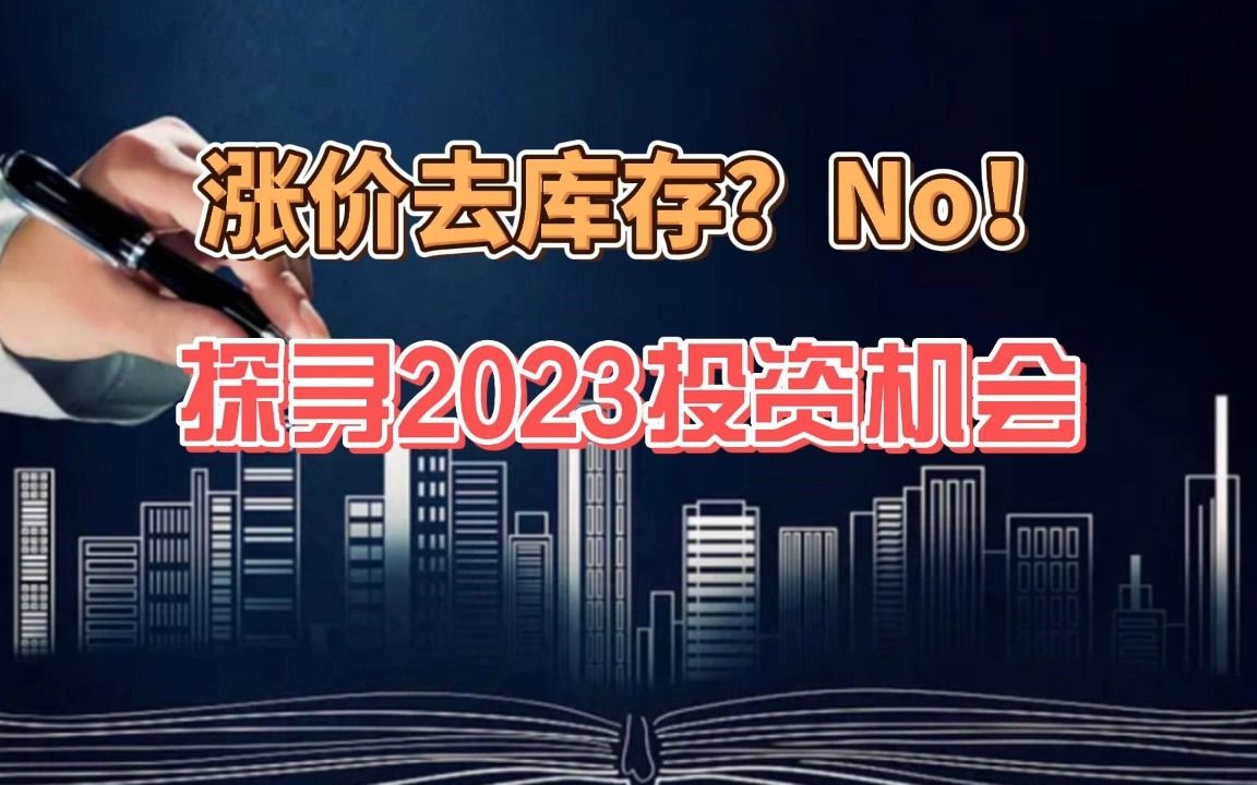 【磐他】涨价去库存?NO!探寻2023投资机会哔哩哔哩bilibili