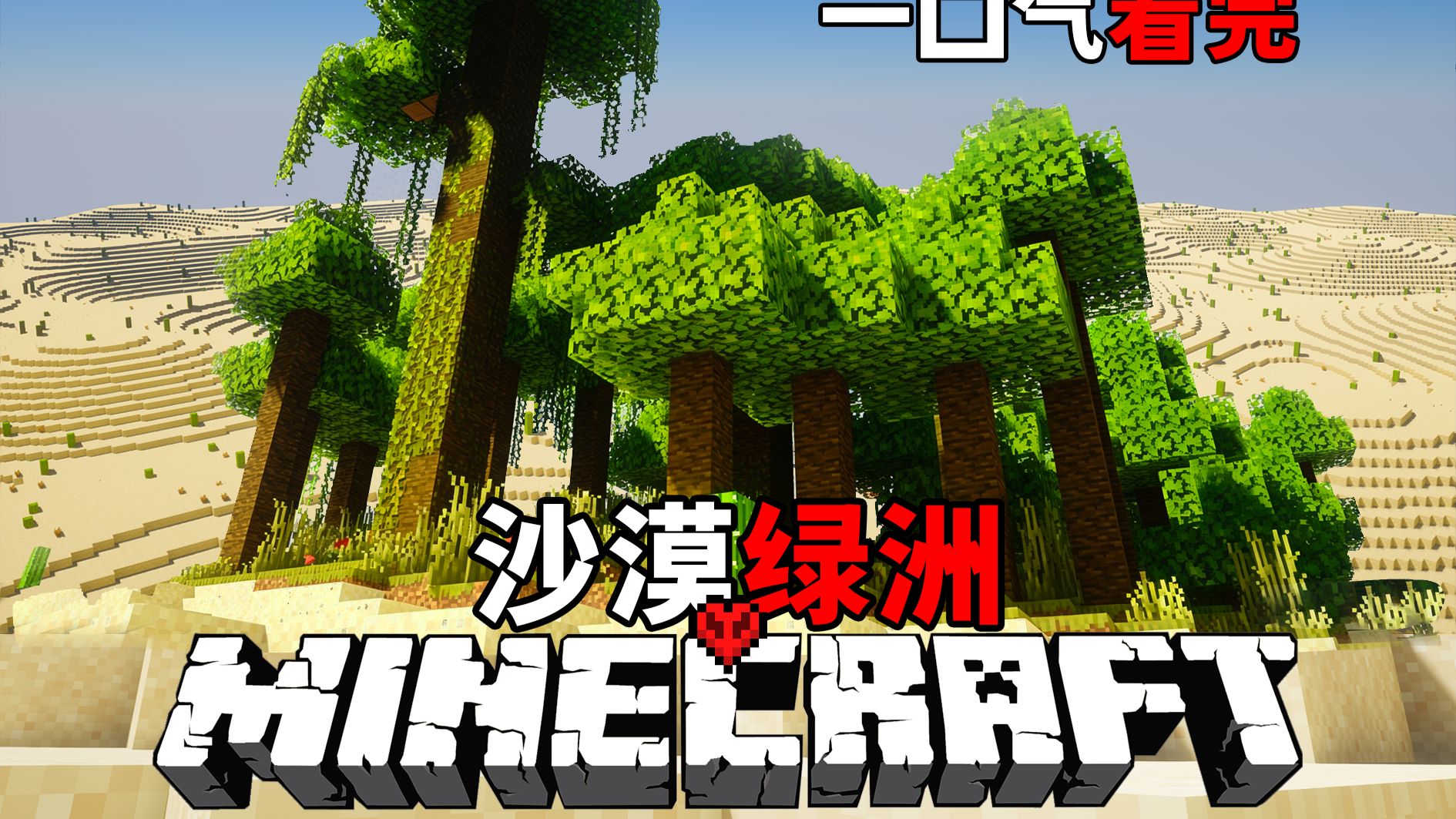 一口气看完沙漠绿洲！一小时纯享版！