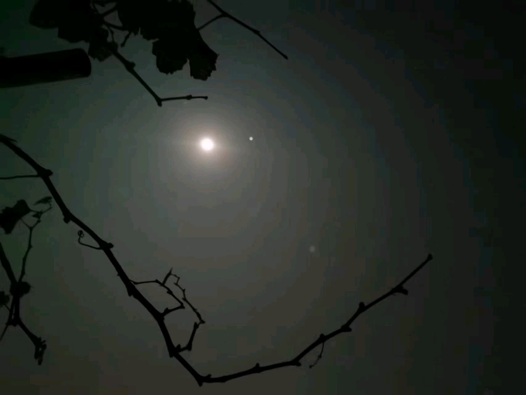 月明星稀,但没乌鹊