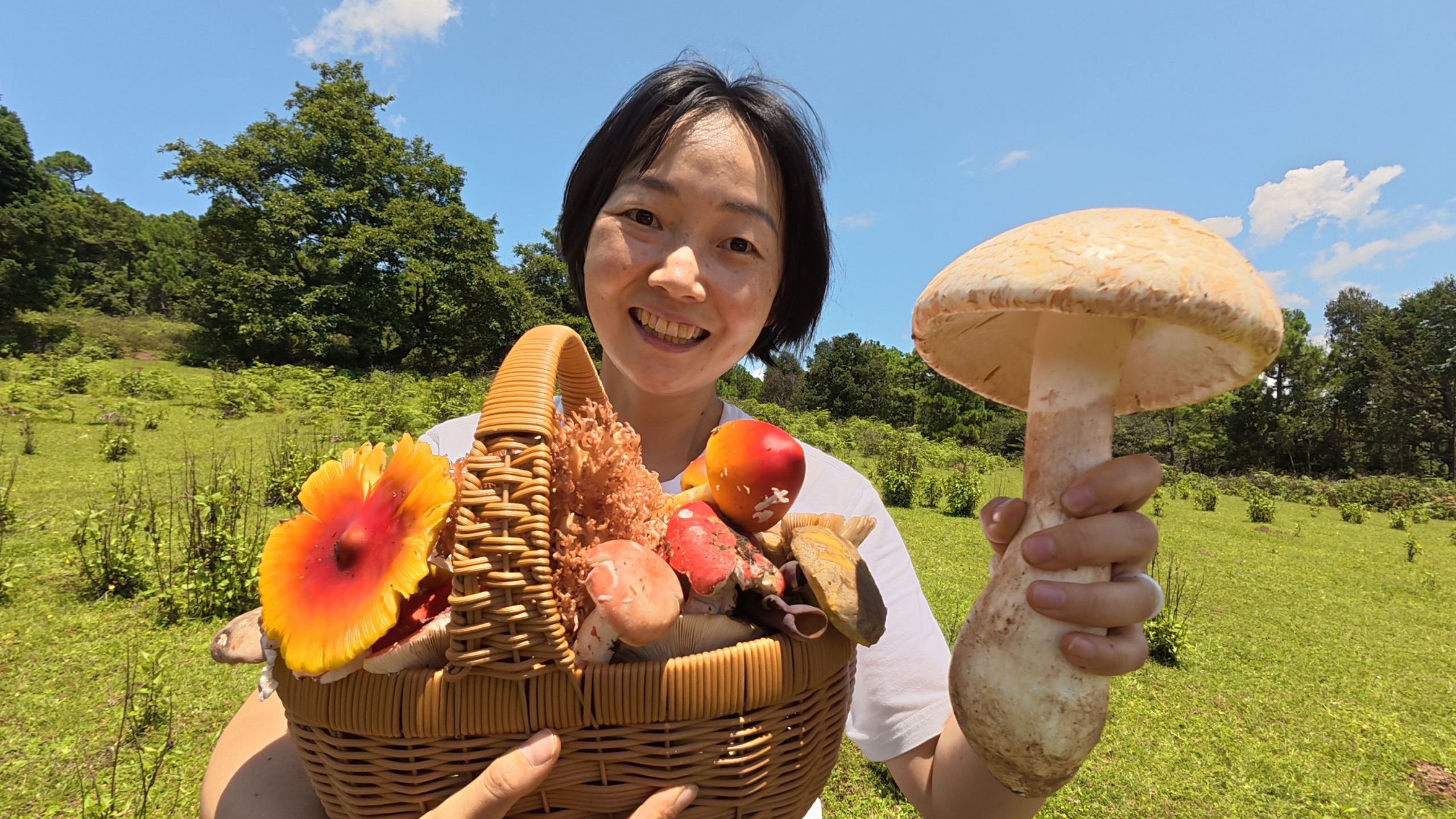 云南找菌子，两个小时实现菌子自由！