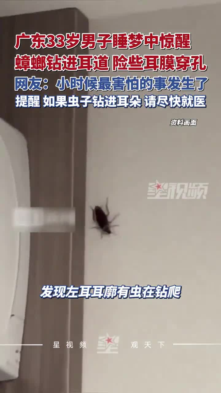 广东33岁男子睡梦中惊醒，蟑螂钻进耳道，险些耳膜穿孔